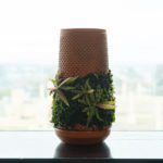 Terracotta Seepage Planter